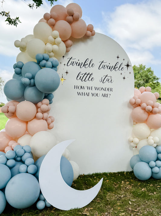 🎉 Gender Reveal Party Balloon Decor Ideas by The Balloon Pop Co.